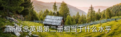 新概念英語第二冊相當(dāng)于什么水平