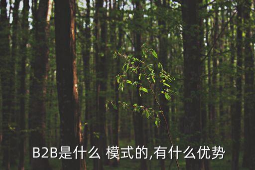 B2B模式,百度愛(ài)購(gòu)是百度旗下b2b垂直搜索引擎