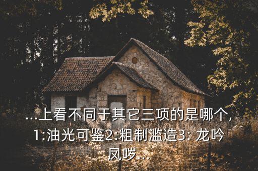 ...上看不同于其它三項的是哪個,1:油光可鑒2:粗制濫造3: 龍吟鳳噦...