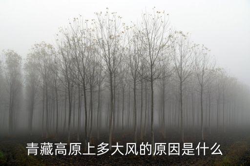 青藏高原上多大風的原因是什么