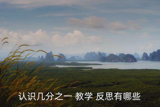 平均分教學反思,評價應追求多元化包括分數概念的強化