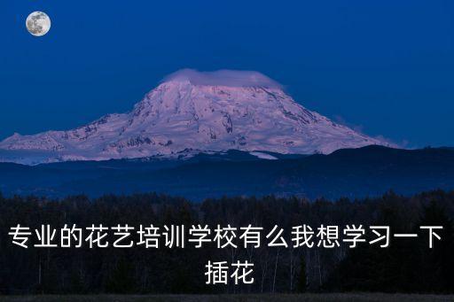 專業(yè)的花藝培訓(xùn)學(xué)校有么我想學(xué)習(xí)一下 插花