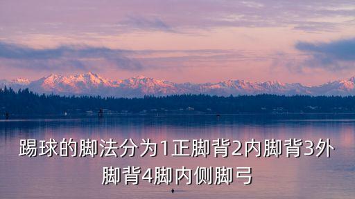 踢球的腳法分為1正腳背2內(nèi)腳背3外腳背4腳內(nèi)側(cè)腳弓