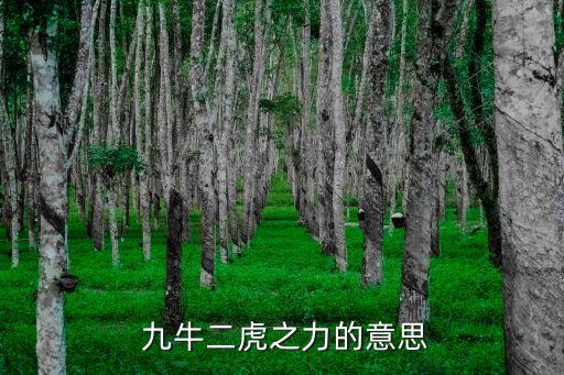  九牛二虎之力的意思