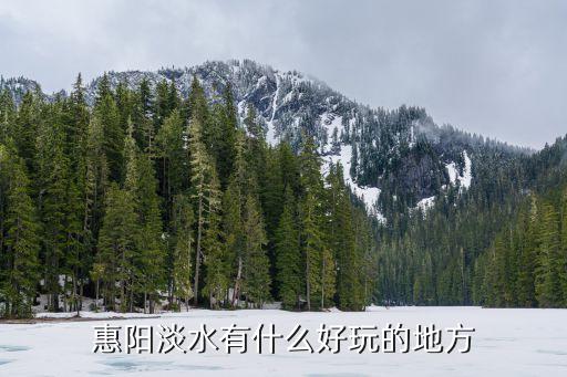 世外梅園,惠陽淡水有什么好玩的?