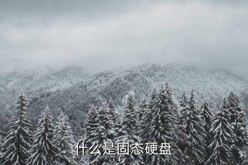 什么是固態(tài)硬盤，什么是固態(tài)硬盤