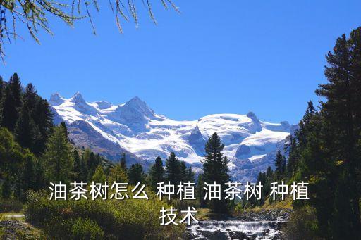 油茶種植技術,培育油茶樹需要為植物選擇疏松透氣、酸性土壤