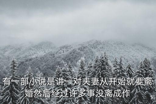 有一部小說是講一對夫妻從開始就要離婚然后經過許多事沒離成作