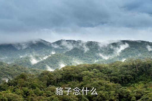  貉子念什么