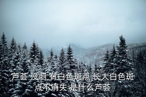 蘆薈 沒刺 有白色斑點 長大白色斑點不消失 是什么蘆薈