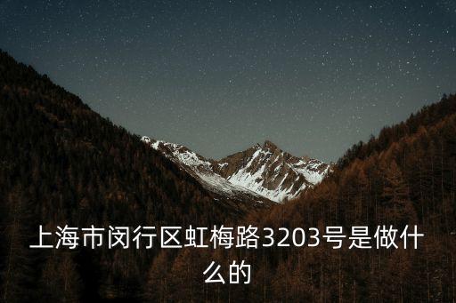 上海市閔行區(qū)老鴻興湯包館，老鴻興湯包館怎么樣