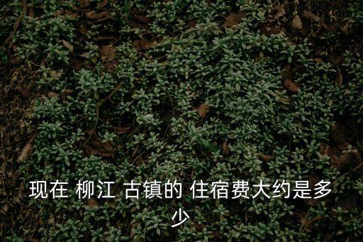 柳江古鎮住宿推薦,成都到眉山-洪雅-柳江-瓦屋山公路況很好