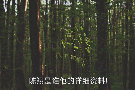 陳翔是誰,陳翔6:30原創(chuàng)短視頻每個(gè)故事都是原創(chuàng)