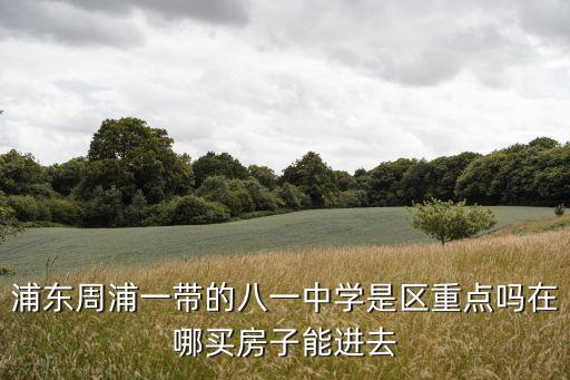 浦東周浦一帶的八一中學(xué)是區(qū)重點(diǎn)嗎在哪買房子能進(jìn)去