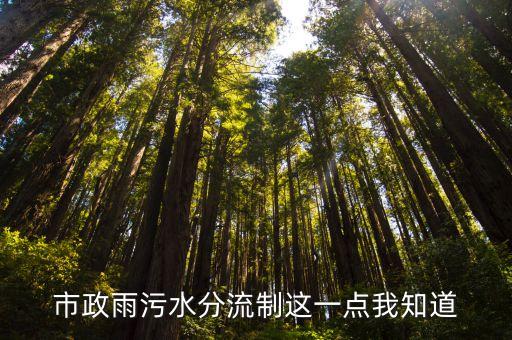 上海市雨水污水分流，哪些城市污廢分流