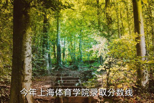 今年上海體育學院錄取分數線