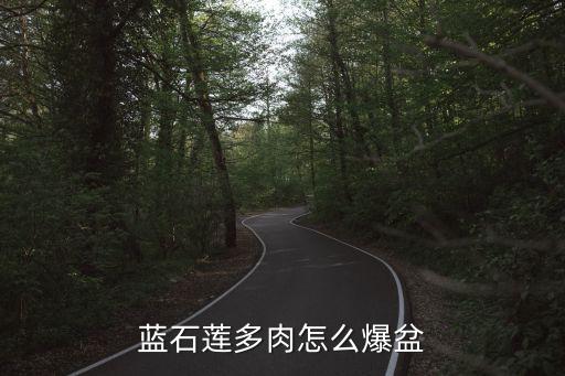 藍石蓮多肉，多肉藍石蓮怎么養 藍石蓮的養護方法