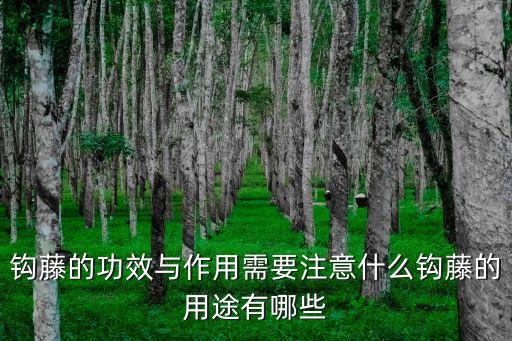 鉤藤的作用與功效,鉤藤與蟬蛻、薄荷同用治小兒夜啼