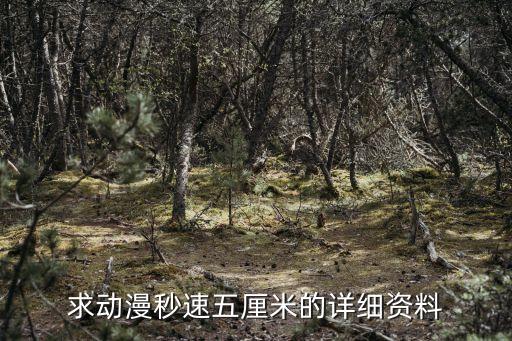 求動漫秒速五厘米的詳細資料