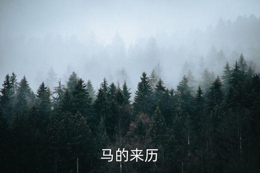 馬的來歷