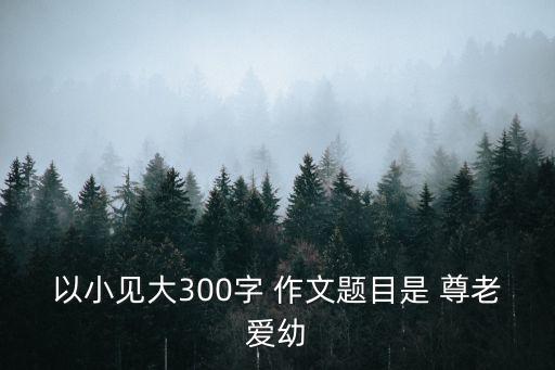 以小見大300字 作文題目是 尊老愛幼