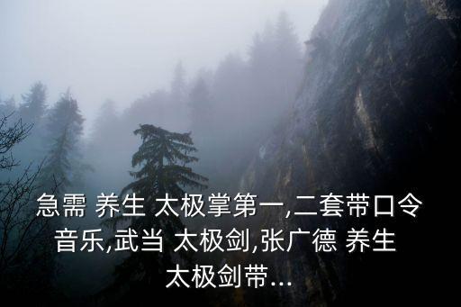 急需 養(yǎng)生 太極掌第一,二套帶口令音樂(lè),武當(dāng) 太極劍,張廣德 養(yǎng)生 太極劍帶...