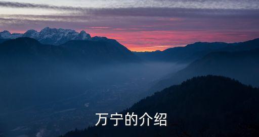 萬寧美食,萬寧元宵節燈會今晚舉行