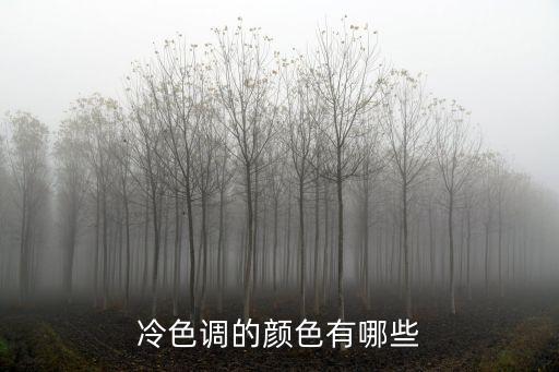 冷色系有哪些顏色，冷色調(diào)的顏色有哪些