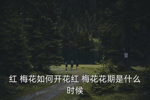 紅梅花,春暖花開的季節有哪些花卉?