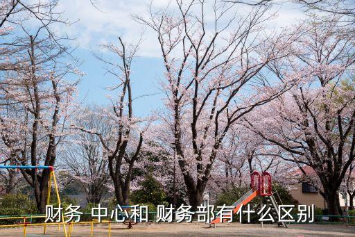 財務中心,大型企業(yè)集團都有財務中心調劑和分配資金