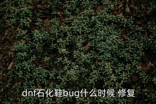 dnf修復(fù),dnf石化鞋bug修復(fù)正式進行三方面解決