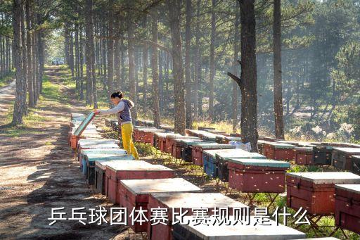 乒乓球團體賽規則，乒乓球團體賽比賽規則是什么