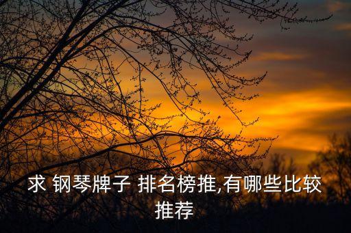鋼琴十大排名,郎朗鋼琴橫天下排名進入世界十大名琴之一