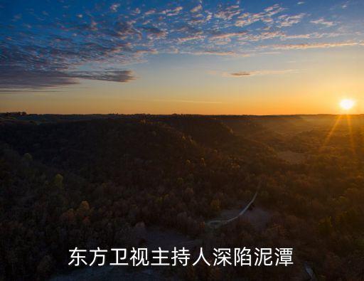 出獄周姓上海市商人，神秘周姓商人是誰