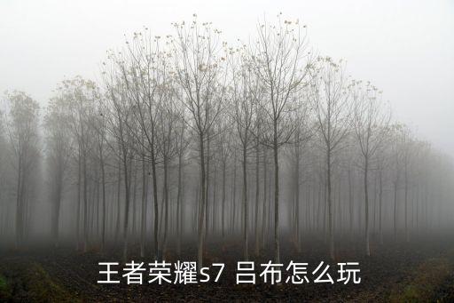 王者呂布,閃電匕首和破軍可加速呂布的傷害