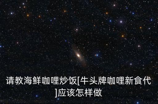 請(qǐng)教海鮮咖哩炒飯[牛頭牌咖哩新食代]應(yīng)該怎樣做