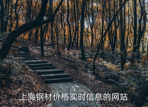 上海鋼材價格實時信息的網站