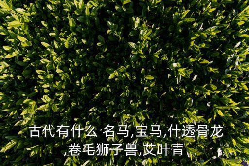 古代名馬,四大名馬之一馬來(lái)西亞中國(guó)武漢抗疫