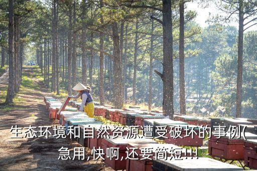 萊茵河污染事件,美國十大環境-1事件之四美國咸水死湖事件
