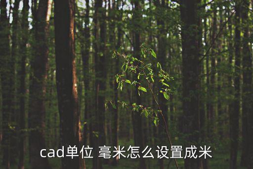 cad單位 毫米怎么設(shè)置成米