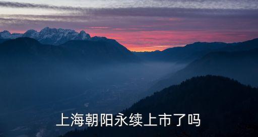 上海市朝陽永續(xù)公司，大神清楚上海朝陽永續(xù)選擇顧問靠譜嗎