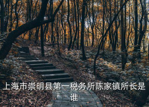 上海市崇明縣第一稅務所陳家鎮所長是誰