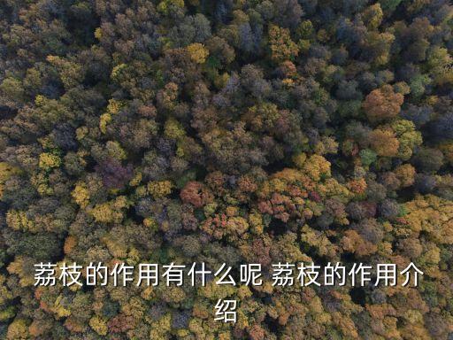 荔枝的作用,荔枝營養豐富可抗糖尿病