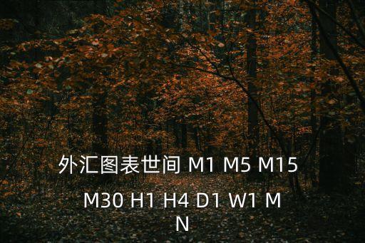 外匯圖表，外匯圖表世間 M1 M5 M15 M30 H1 H4 D1 W1 MN