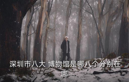  深圳市八大 博物館是哪八個分別在哪
