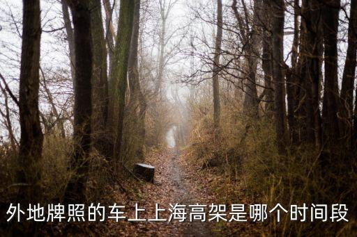 外地牌照的車上上海高架是哪個時間段