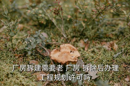  廠房拆建需要老 廠房 拆除后辦理工程規劃許可嗎
