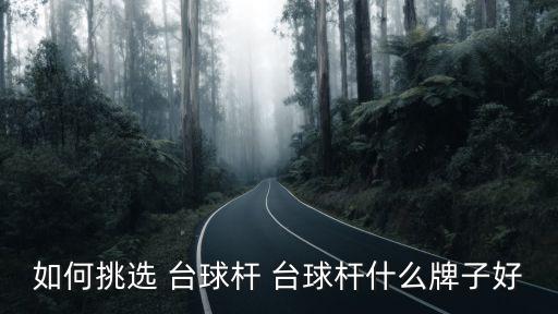臺球桿品牌,謎臺球桿品牌質量可靠性價比高
