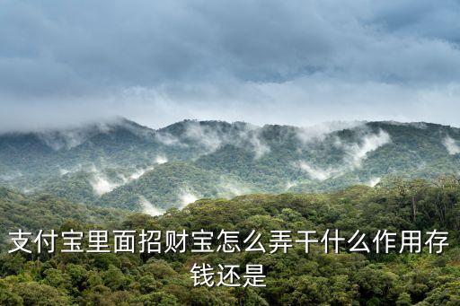 上海市金融信息產業促進服務平臺，支付寶中招財寶的作用