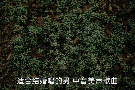 適合結(jié)婚唱的男 中音美聲歌曲